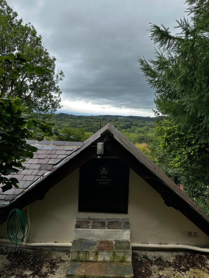 Coed Y Ddraig - Themed 3 Bedroom Cottage, With Bar & Pool Table Tregaron Exteriér fotografie