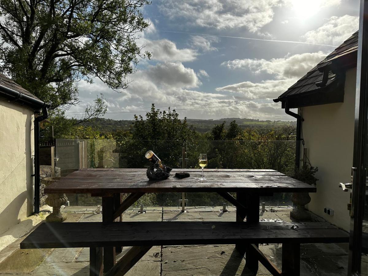 Coed Y Ddraig - Themed 3 Bedroom Cottage, With Bar & Pool Table Tregaron Exteriér fotografie